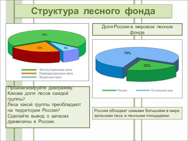 Структура лесного фонда Проанализируйте диаграмму. Какова доля лесов каждой группы? Леса какой