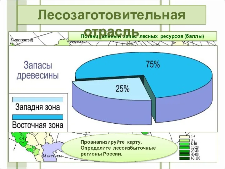 Потенциальный запас лесных ресурсов (баллы) Проанализируйте карту. Определите лесоизбыточные регионы России. Лесозаготовительная отрасль