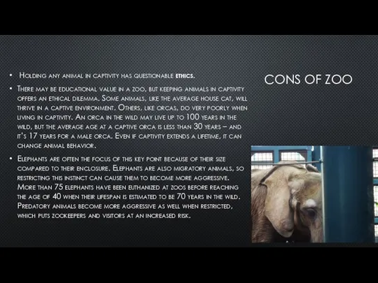 CONS OF ZOO Holding any animal in captivity has questionable ethics. There