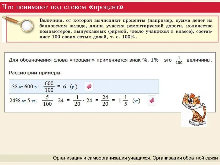 Что понимают под словом «процент» Организация и самоорганизация учащихся. Организация обратной связи