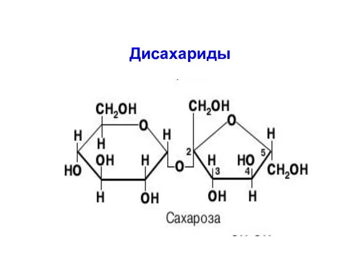 Дисахариды