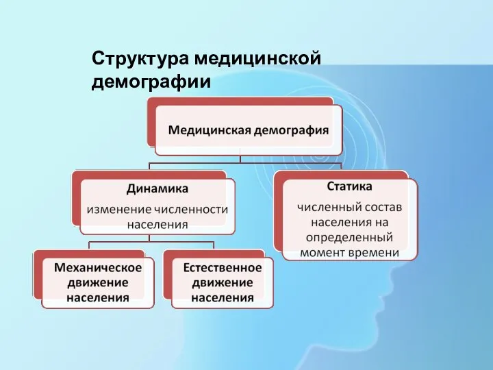 Структура медицинской демографии