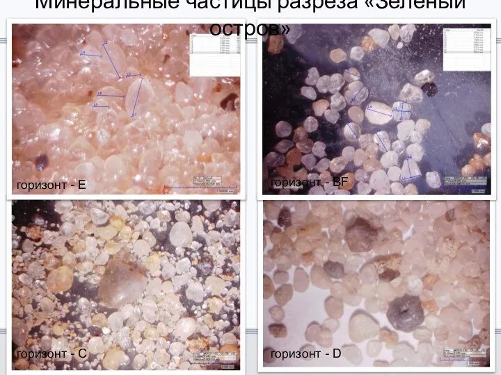 Минеральные частицы разреза «Зелёный остров» горизонт - E горизонт - BF горизонт