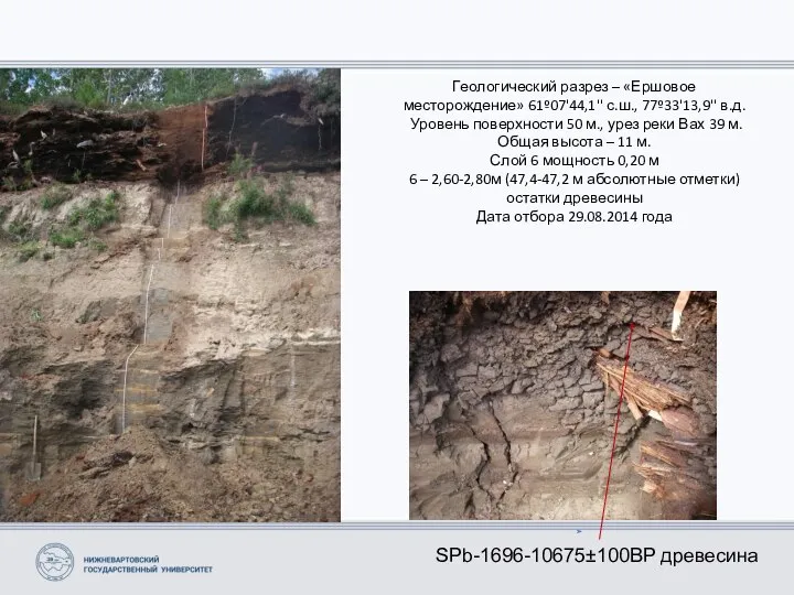 Геологический разрез – «Ершовое месторождение» 61º07'44,1'' с.ш., 77º33'13,9'' в.д. Уровень поверхности 50