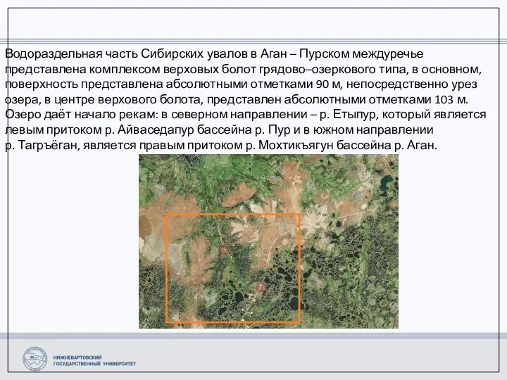 Водораздельная часть Сибирских увалов в Аган – Пурском междуречье представлена комплексом верховых