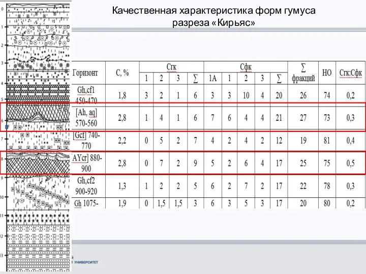 Качественная характеристика форм гумуса разреза «Кирьяс»