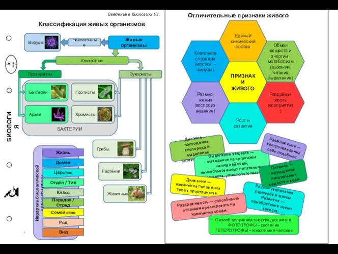 Классификация живых организмов , БАКТЕРИИ БИОЛОГИЯ 5 класс Введение в биологию. §