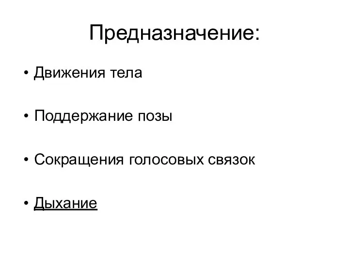 Предназначение: Движения тела Поддержание позы Сокращения голосовых связок Дыхание