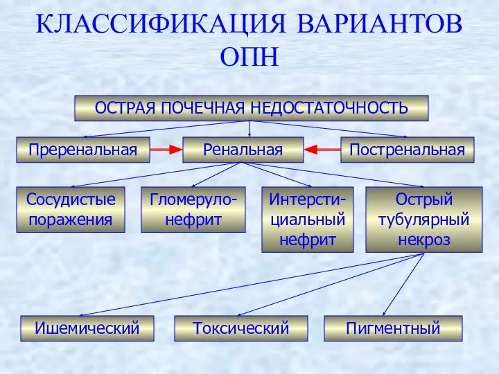 КЛАССИФИКАЦИЯ ВАРИАНТОВ ОПН ОСТРАЯ ПОЧЕЧНАЯ НЕДОСТАТОЧНОСТЬ Преренальная Ренальная Постренальная Сосудистые поражения Гломеруло-нефрит