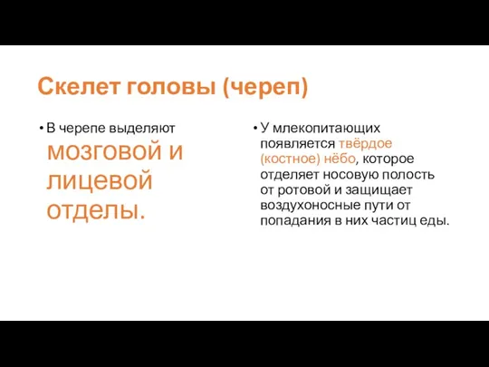 Скелет головы (череп) В черепе выделяют мозговой и лицевой отделы. У млекопитающих