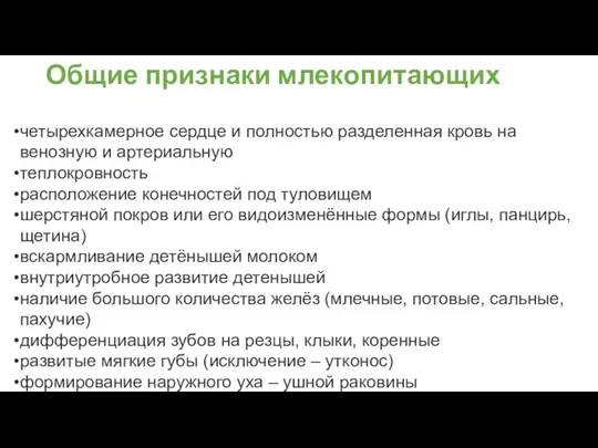 Общие признаки млекопитающих четырехкамерное сердце и полностью разделенная кровь на венозную и