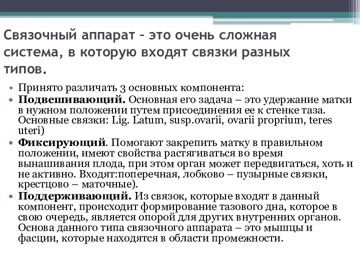 Связочный аппарат – это очень сложная система, в которую входят связки разных