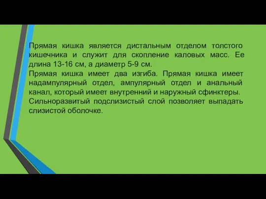 Прямая кишка является дистальным отделом толстого кишечника и служит для скопление каловых