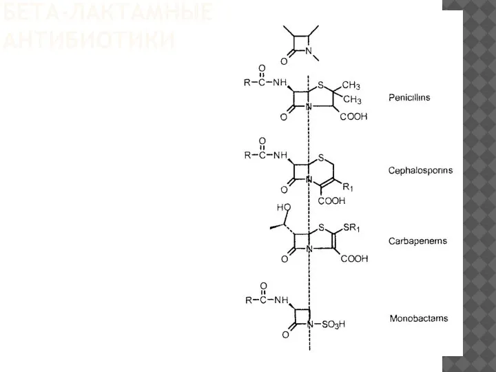 БЕТА-ЛАКТАМНЫЕ АНТИБИОТИКИ