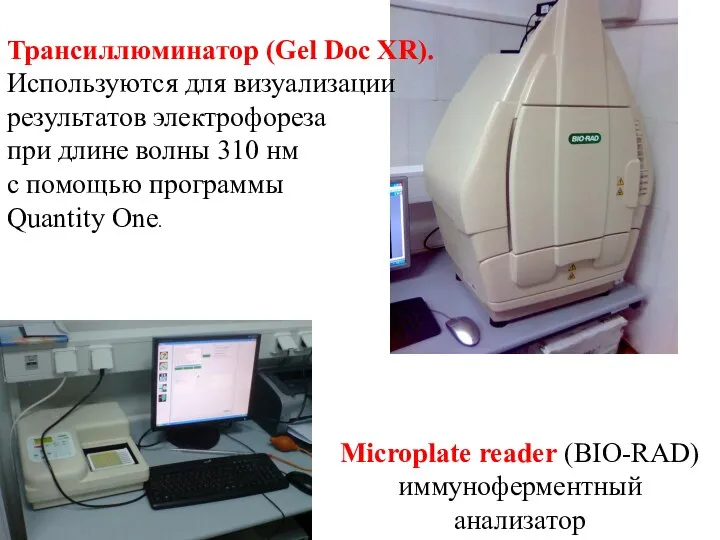 Трансиллюминатор (Gel Doc XR). Используются для визуализации результатов электрофореза при длине волны