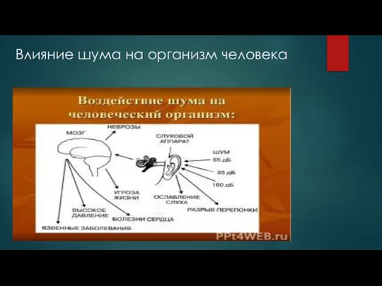 Влияние шума на организм человека