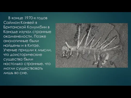 В конце 1970-х годов Саймон Конвей в Британской Колумбии в Канаде изучал