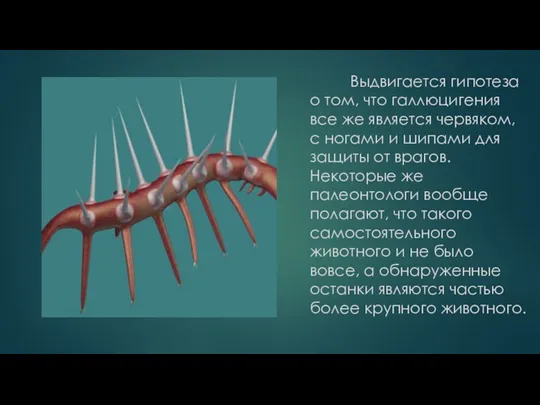 Выдвигается гипотеза о том, что галлюцигения все же является червяком, с ногами