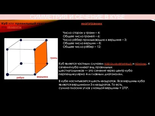 СИММЕТРИЯ И СЕЧЕНИЕ В КУБЕ Число сторон у грани – 4; Общее