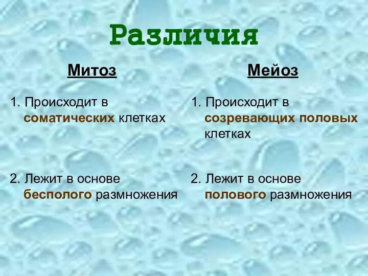 Различия Митоз Мейоз 1. Происходит в соматических клетках 1. Происходит в созревающих