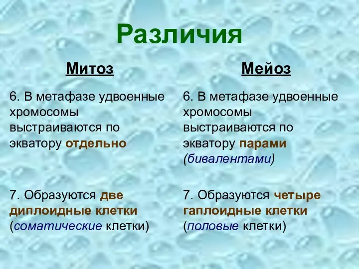 Различия Митоз Мейоз 6. В метафазе удвоенные хромосомы выстраиваются по экватору отдельно