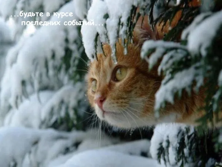 ...будьте в курсе последних событий...