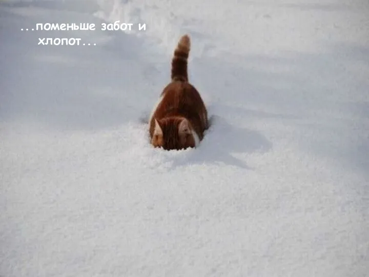 ...поменьше забот и хлопот...