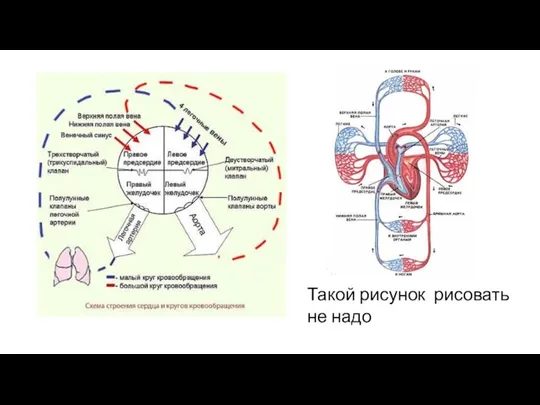 Такой рисунок рисовать не надо