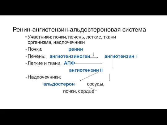 Ренин-ангиотензин-альдостероновая система Участники: почки, печень, легкие, ткани организма, надпочечники Почки: ренин Печень: