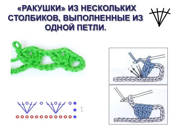 «РАКУШКИ» ИЗ НЕСКОЛЬКИХ СТОЛБИКОВ, ВЫПОЛНЕННЫЕ ИЗ ОДНОЙ ПЕТЛИ.