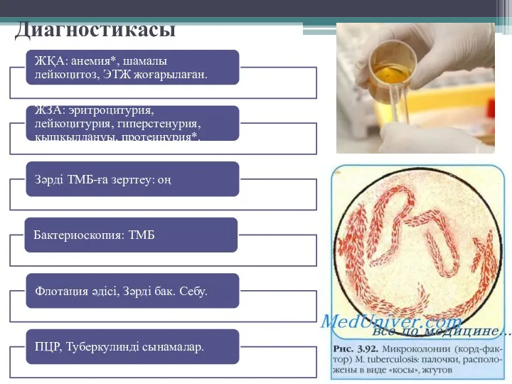 Диагностикасы