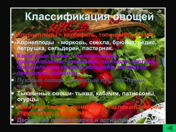 Классификация овощей Клубнеплоды – картофель, топинамбур, батат Корнеплоды - морковь, свекла, брюква,