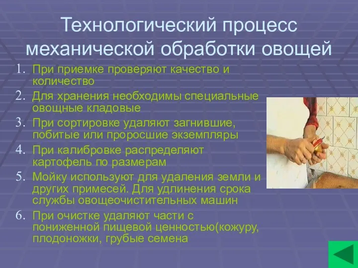 Технологический процесс механической обработки овощей При приемке проверяют качество и количество Для