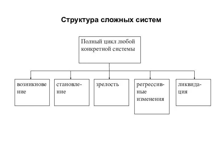Структура сложных систем