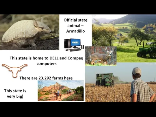 Official state animal – Armadillo This state is home to DELL and