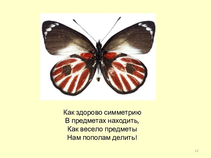 Как здорово симметрию В предметах находить, Как весело предметы Нам пополам делить!