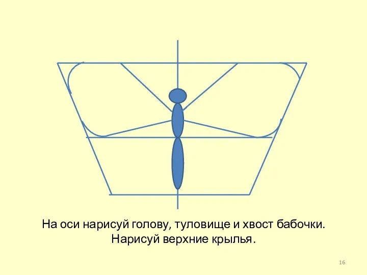 На оси нарисуй голову, туловище и хвост бабочки. Нарисуй верхние крылья.