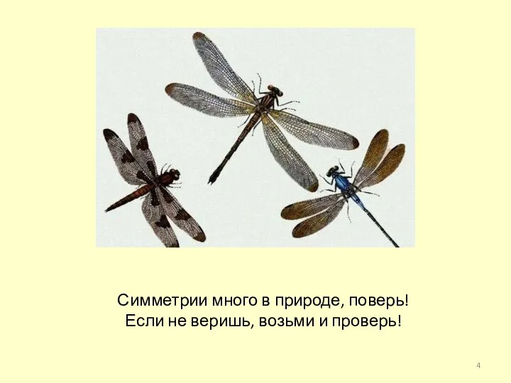 Симметрии много в природе, поверь! Если не веришь, возьми и проверь!