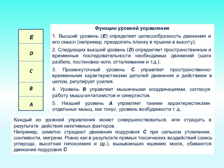 Функции уровней управления 1. Высший уровень (Е) определяет целесообразность движения и его