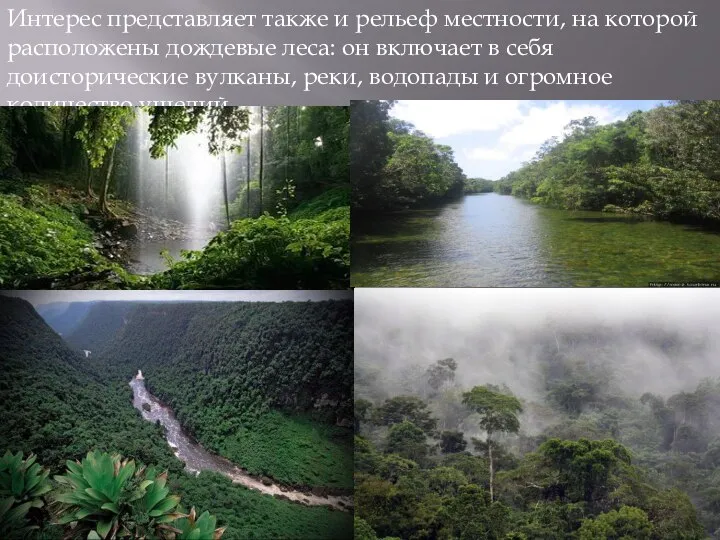 Интерес представляет также и рельеф местности, на которой расположены дождевые леса: он