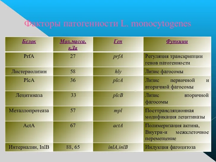 Факторы патогенности L. monocytogenes