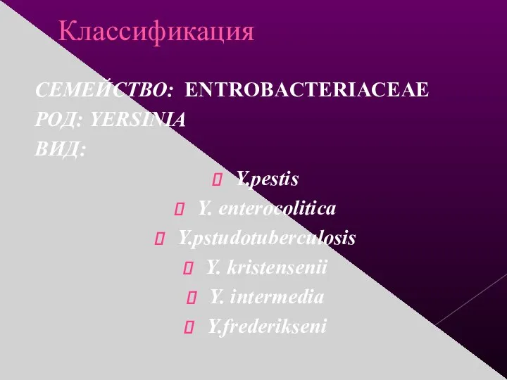 Классификация СЕМЕЙСТВО: ENTROBACTERIACEAE РОД: YERSINIA ВИД: Y.pestis Y. enterocolitica Y.pstudotuberculosis Y. kristensenii Y. intermedia Y.frederikseni