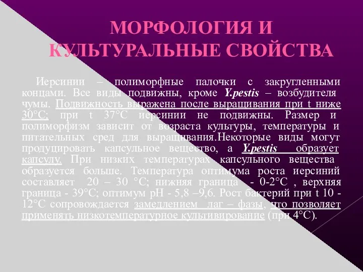 МОРФОЛОГИЯ И КУЛЬТУРАЛЬНЫЕ СВОЙСТВА Иерсинии – полиморфные палочки с закругленными концами. Все