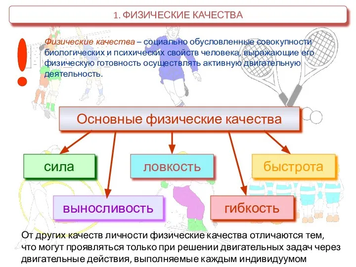 1. ФИЗИЧЕСКИЕ КАЧЕСТВА Физические качества – социально обусловленные совокупности биологических и психических