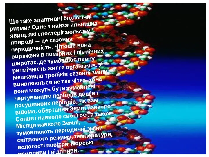 Що таке адаптивні біологічні ритми? Одне з найзагальніших явищ, які спостерігаються у