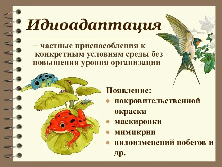 Идиоадаптация – частные приспособления к конкретным условиям среды без повышения уровня организации