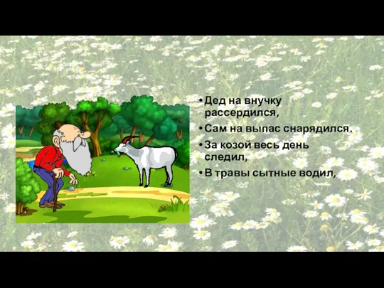 Дед на внучку рассердился, Сам на выпас снарядился. За козой весь день