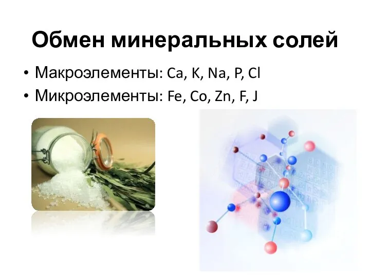 Обмен минеральных солей Макроэлементы: Ca, K, Na, P, Cl Микроэлементы: Fe, Co, Zn, F, J