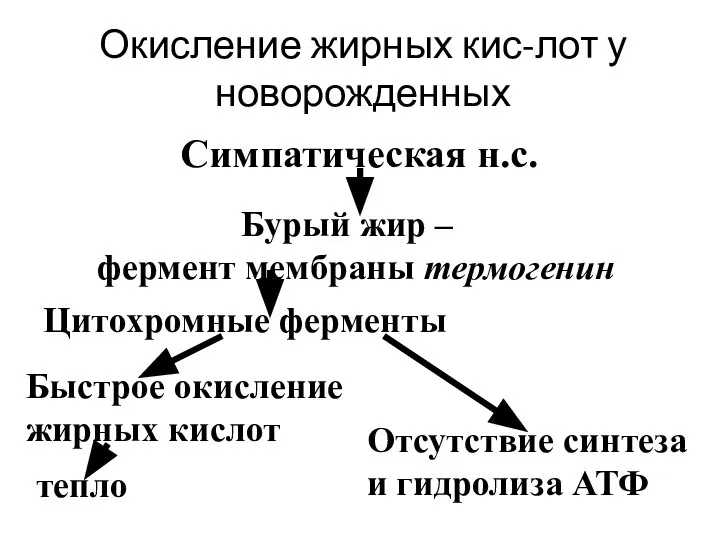 Окисление жирных кис-лот у новорожденных Симпатическая н.с. Бурый жир – фермент мембраны