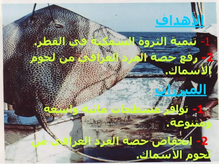 الأهداف 1- تنمية الثروة السمكية في القطر. 2- رفع حصة الفرد العراقي